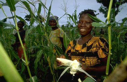 Agribusiness en Afrique : un levier pour transformer l’agriculture et autonomiser les femmes du Bénin