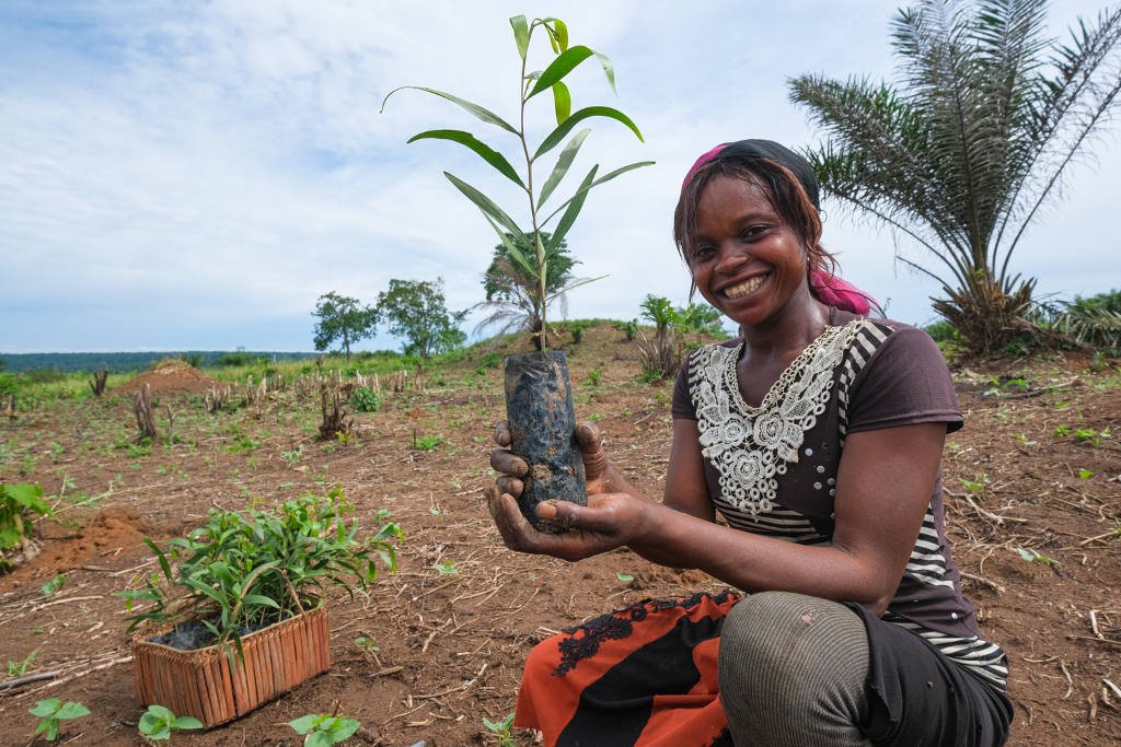 Plantation d'arbres par des agriculteurs
