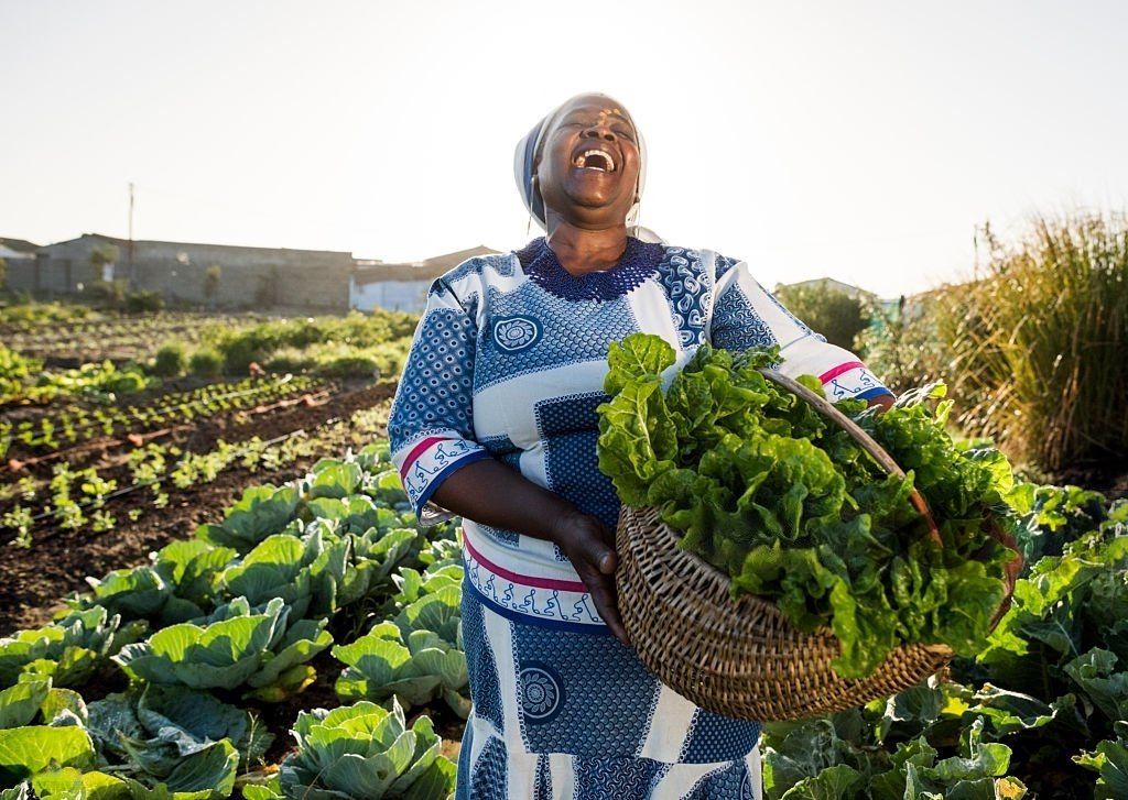 Producteurs béninois